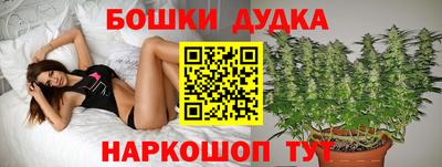 Альфа ПВП Кизилюрт